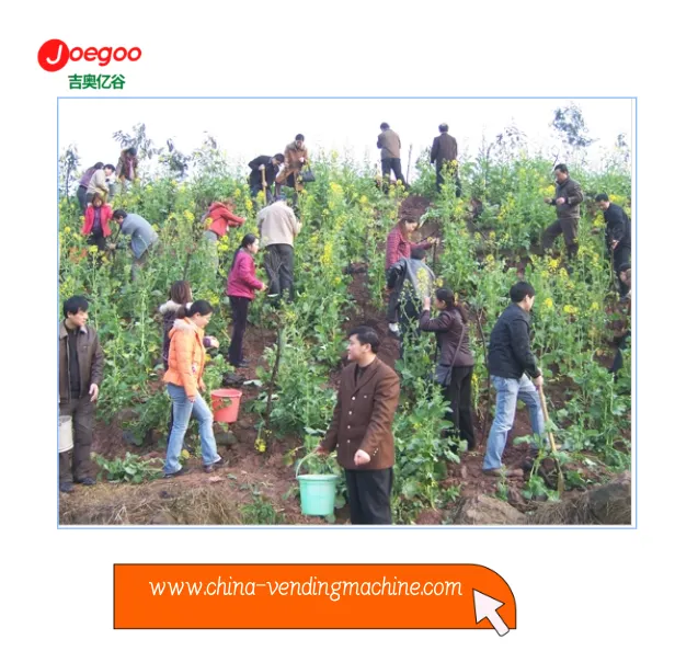 Bộ phận xuất khẩu của Công ty Jeogoo đã tổ chức một hoạt động tình nguyện cho...